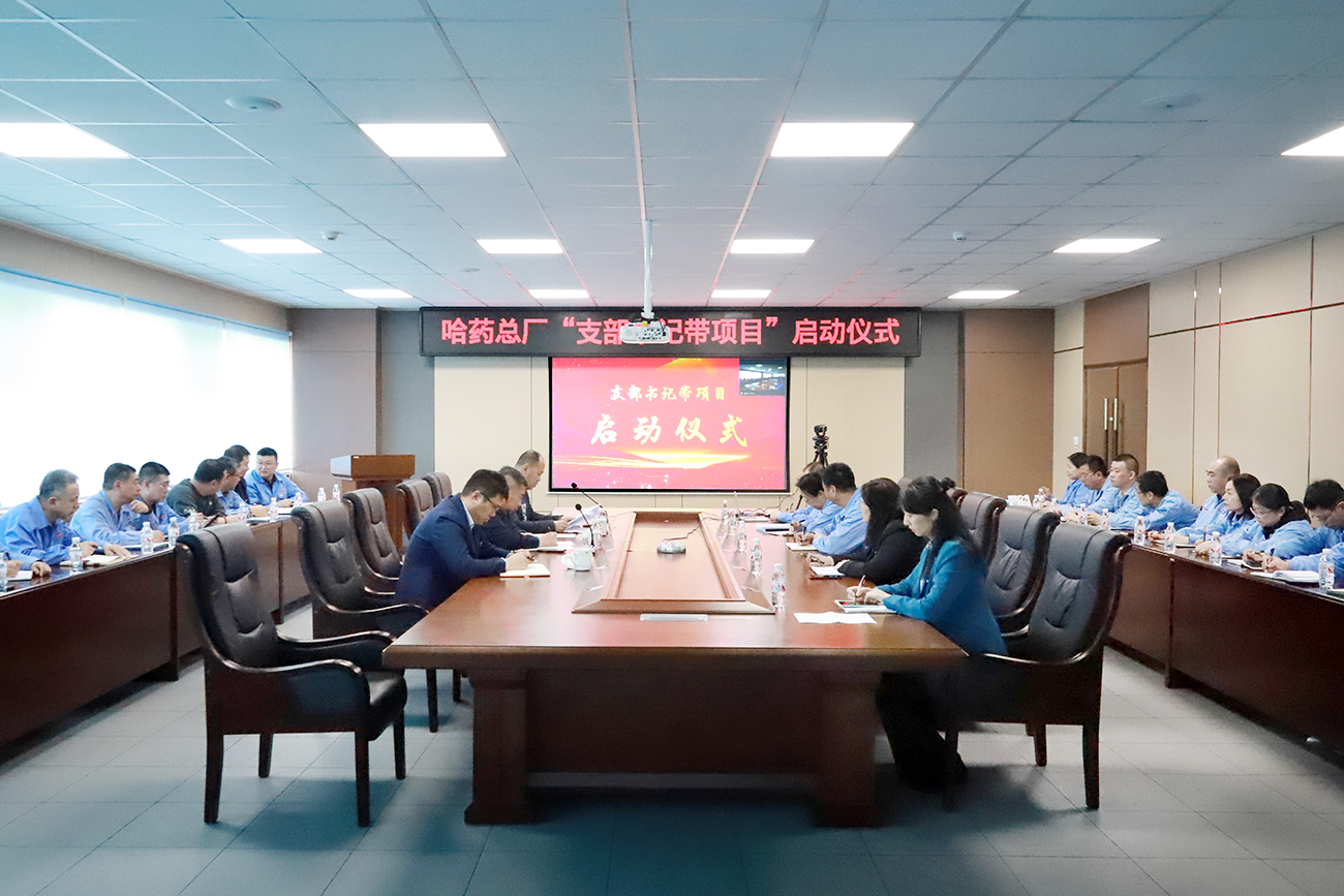 党建领航“加速度” 打造发展“强引擎”——南宫28NG相信品牌力量总厂党委召开“支部书记带项目”启动仪式